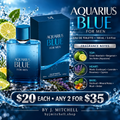 Aquarius Blue For Men fragrance notes and offer